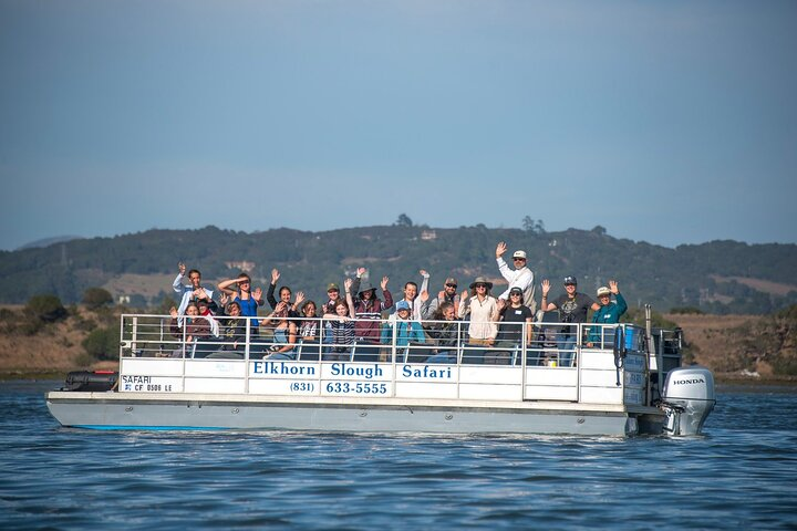 Step aboard our stable, USCG inspected, 27ft. pontoon boat, and embark on an unforgettable wildlife adventure! 